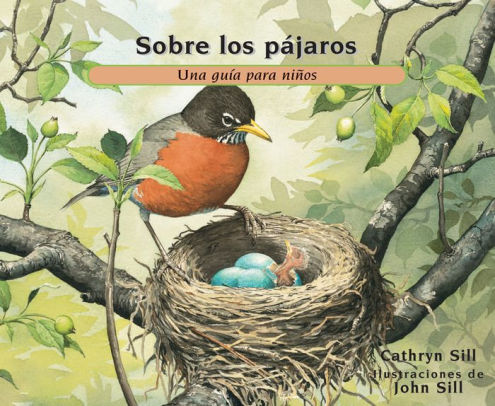 Sobre los pájaros: Una guía para niños