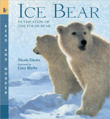 Ice Bear: In the Steps of the Polar Bear (Read and Wonder Series)